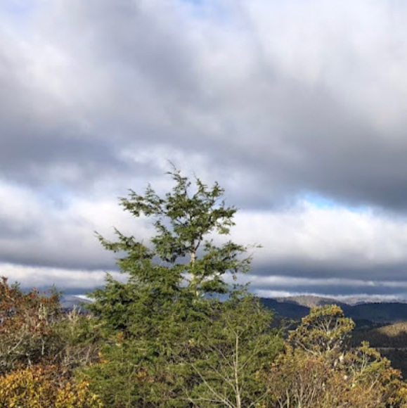 Meet your Posher, Zoe - Picture 1 of 1